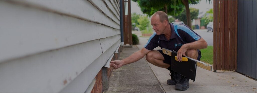 pre sale vendor pest and building inspection