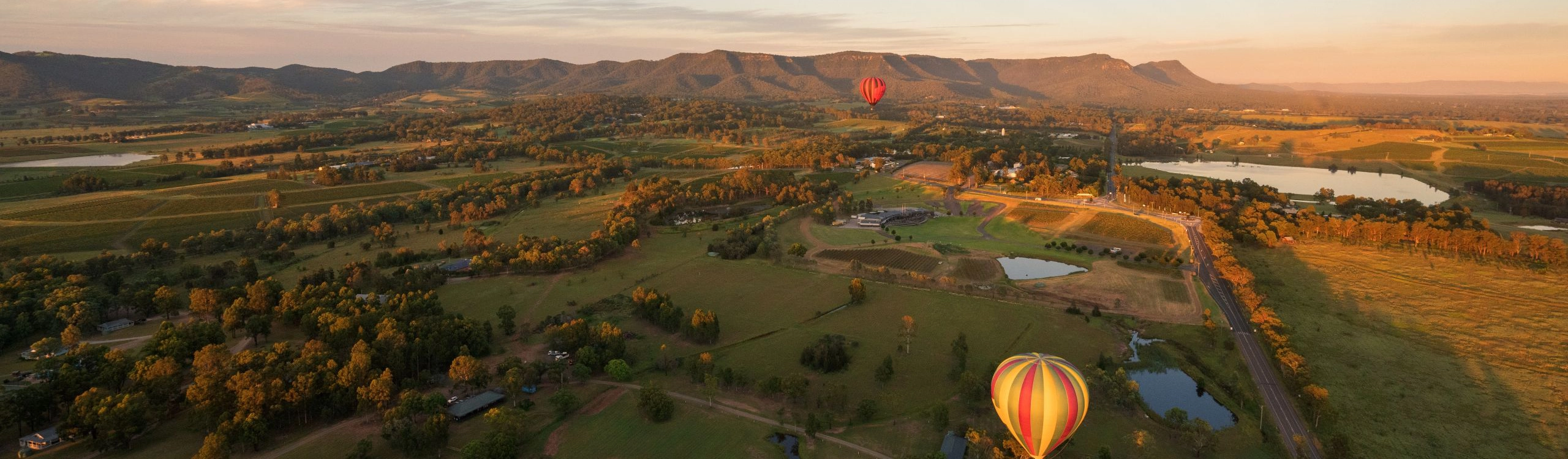 pest and building inspections hunter valley hero